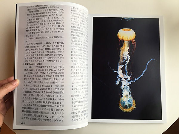 きっかけの本 | 写真家 川合穂波 初作品集「Symbolisme」制作